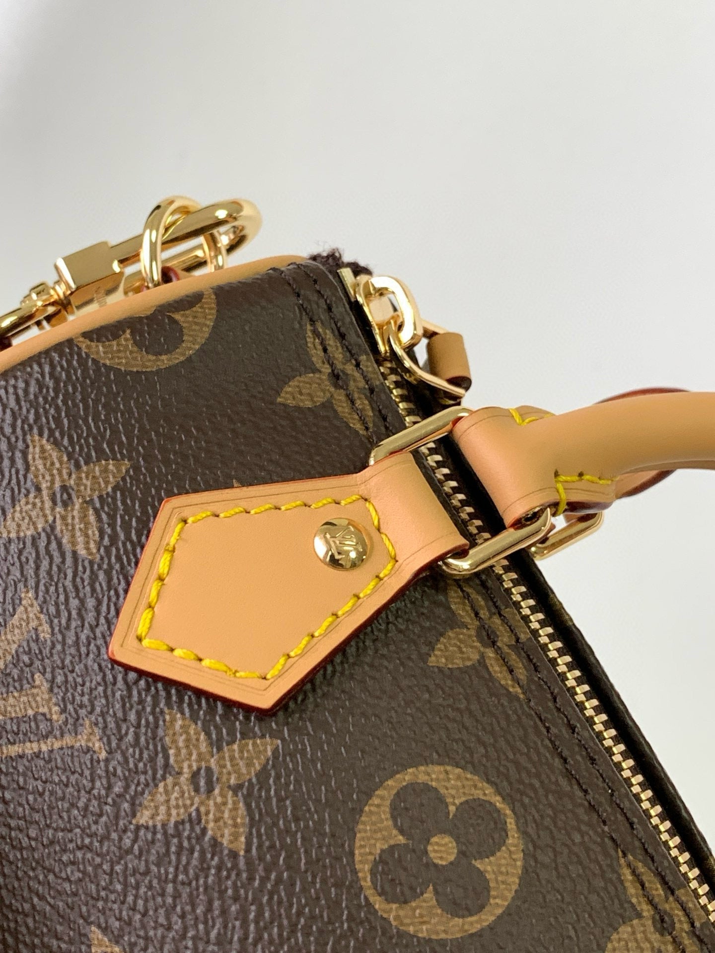 LV Nano Speedy Bag Brown mix Gold Canvas Leather
