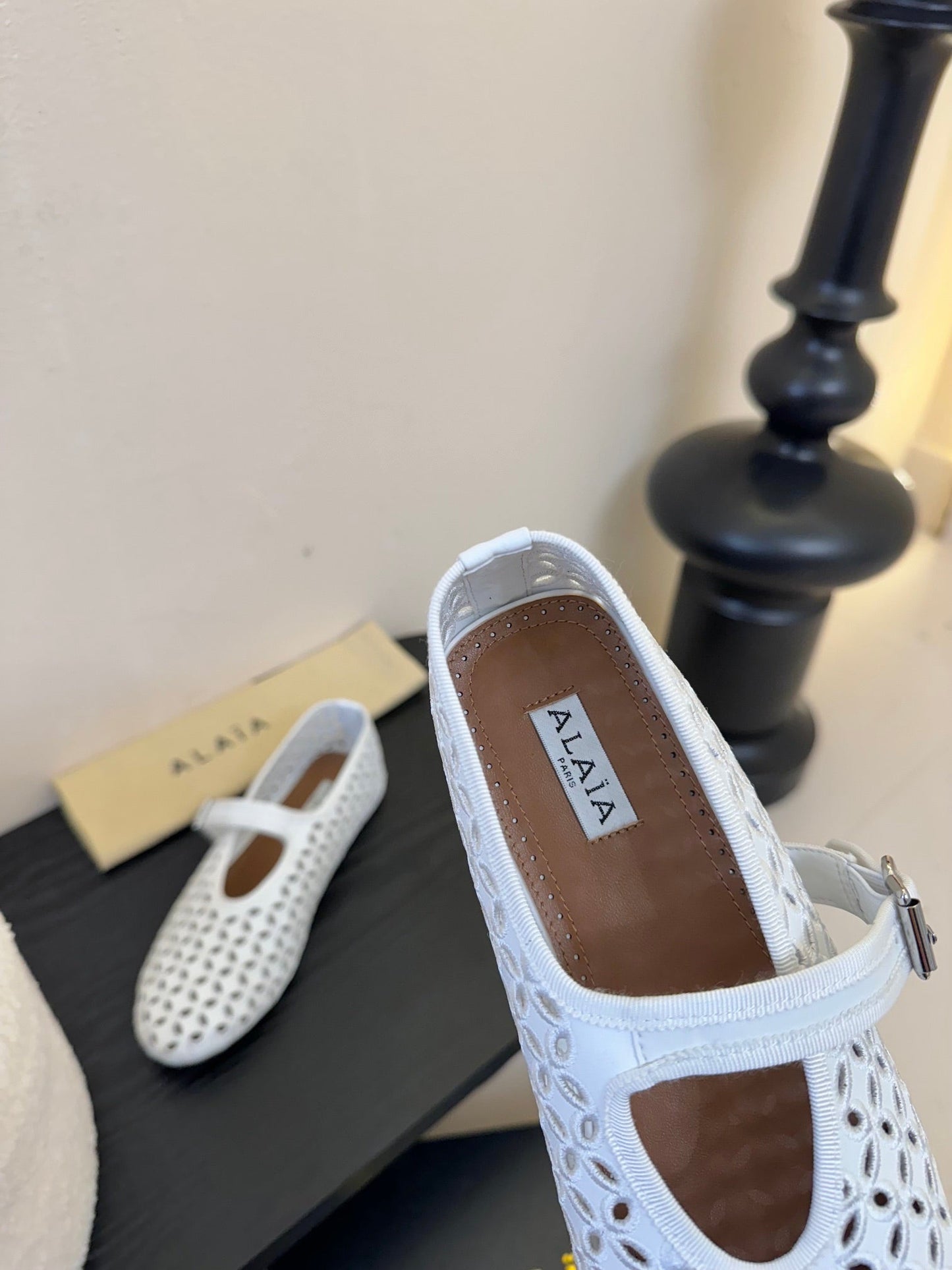 Alaia 25 Mary Jane Mesh Ballet Flats White Calfskin 297033