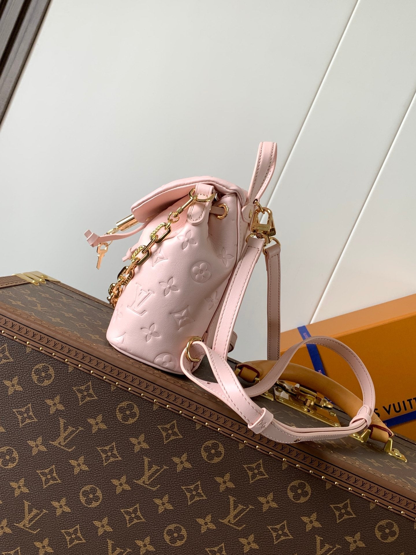 LV Coussin 20cm Backpack Pink Gold Leather 252653