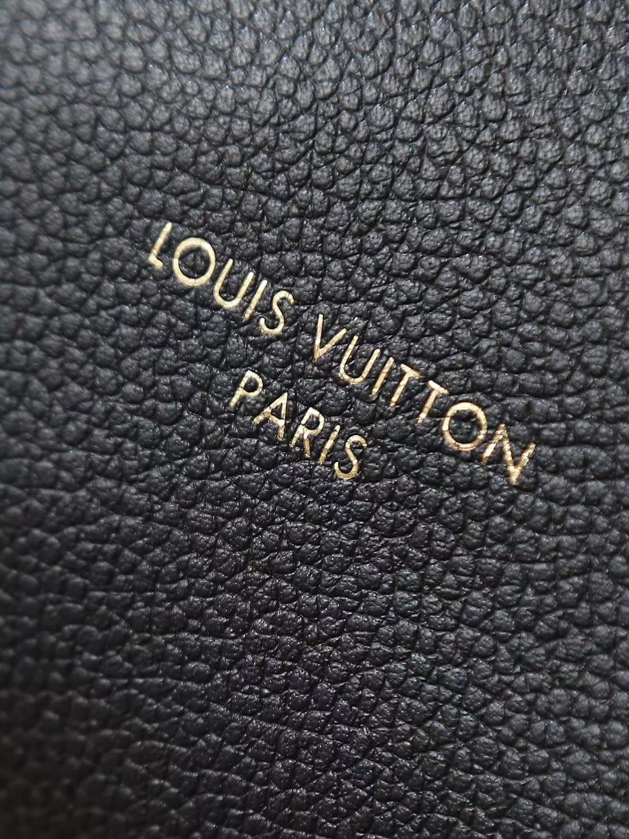 LV Express Bag 26cm Black Mix Brown Calfskin
