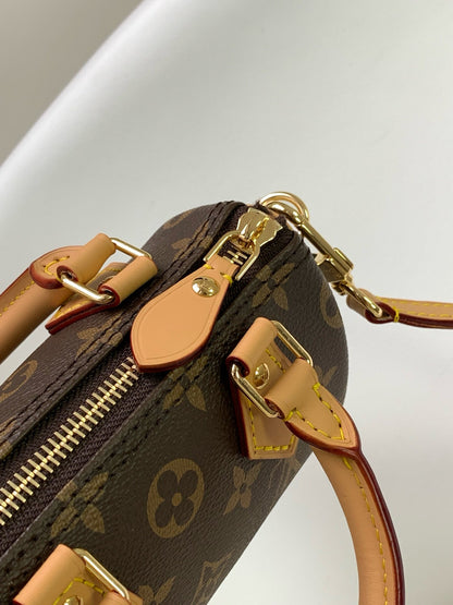 LV Nano Speedy Bag Brown mix Gold Canvas Leather