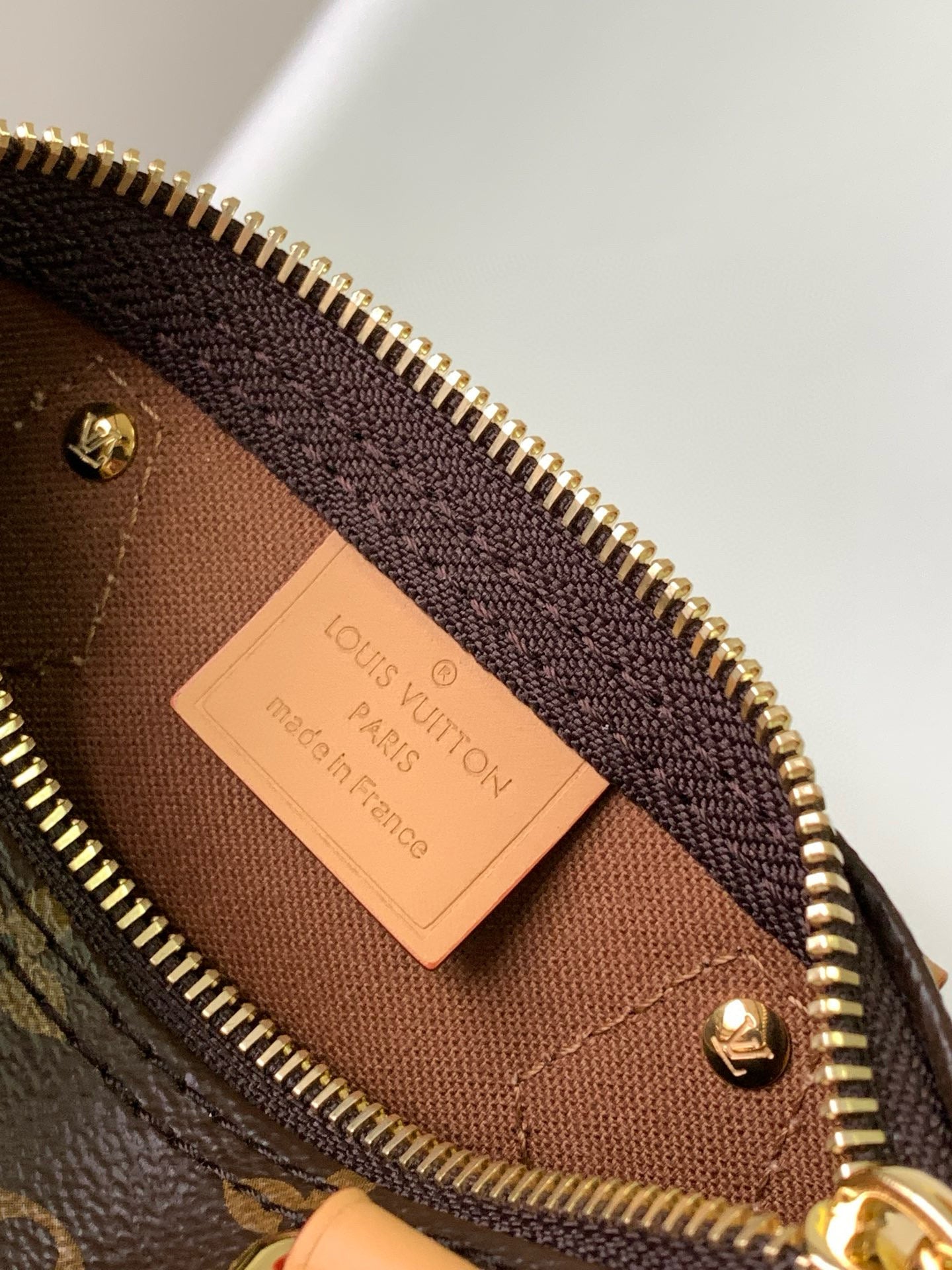 LV Nano Speedy Bag Brown mix Gold Canvas Leather